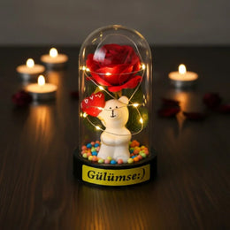 Ayıcıklı Ledli Gül Fanus