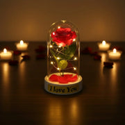 Gül Yapraklı Ledli Gül Fanus