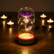 İncili Sonsuzluk Gülü Ledli Fanus